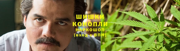 сатива Балабаново