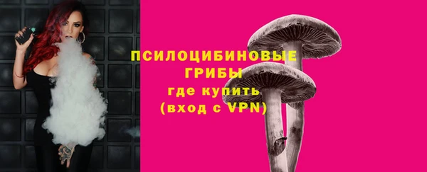 сатива Балабаново