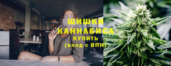 сатива Балабаново